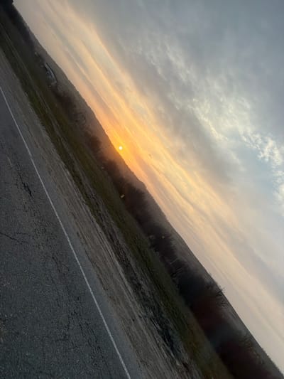 The image captures an outdoor landscape in Gostagaevskaya, Russia, presented with a prominent diagonal orientation. The scene is illuminated by a low-lying, bright orange-yellow sun visible in the mid-right portion of the frame, indicative of sunrise or sunset.
In the foreground, a segment of dark, cracked asphalt road traverses the lower-left diagonal, marked by a faded white solid line along its visible edge. Adjoining the road, a strip of patchy, dry vegetation and soil leads to a line of dark, bare deciduous trees or bushes. Beyond these trees, the terrain appears to ascend gradually.
The sky, occupying the upper-right diagonal, displays a color gradient from intense orange and yellow around the sun, transitioning to pale pink and light blue-grey. Several elongated, wispy clouds are scattered across the sky. No individuals, vehicles, or additional prominent man-made structures are discernible.