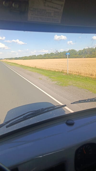 The image shows a view from inside a vehicle, looking out through the windshield at a rural landscape. A paved road stretches into the distance, bordered by a field of golden wheat on the right. A line of green trees forms the horizon beyond the field. A blue sign with the number "348" is visible on a post beside the road. The sky is blue with scattered white clouds. The dashboard of the vehicle is visible in the foreground, with the windshield wipers resting on the glass. The scene appears to be a sunny day in the countryside, possibly on a highway or rural road. The location is identified as Zolotaya Step, Russia.