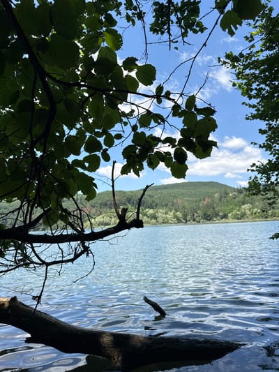 The image depicts a scenic view of a lake with a tree branch in the foreground. The tree branch, silhouetted against the sky and water, is adorned with green leaves. The lake's surface is rippled, reflecting the blue sky and scattered white clouds. In the background, a lush green hillside rises from the water's edge, densely covered with trees. The lighting suggests it is daytime, likely with clear or partly cloudy weather. The overall impression is one of natural tranquility and beauty. The location is identified as Dolni Pasarel, Bulgaria.