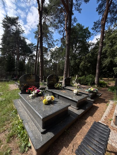 A cemetery scene is depicted under a partly cloudy sky, with tall pine trees framing the view. In the foreground, several granite gravestones are visible, arranged in a row. The gravestones are polished and have inscriptions, some adorned with artificial flower arrangements. The ground is covered in dry pine needles and grass. A dark, slatted bench is positioned to the right of the gravestones. The overall impression is one of a quiet, well-maintained cemetery within a wooded area, likely in Górka, Poland, given the commonality of such cemeteries in the region.