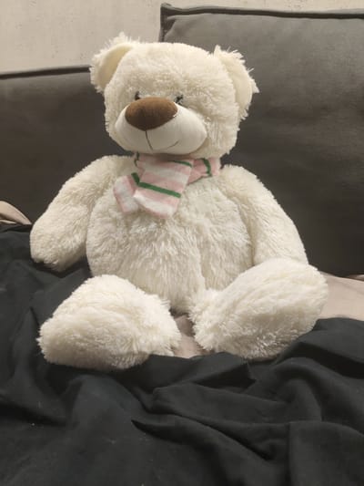 A white, fluffy teddy bear with a brown nose and a pink and green striped scarf is seated on a dark fabric, likely a bed or sofa. The bear is positioned centrally in the frame, facing forward. Behind the bear, a grey sofa is visible. The lighting suggests an indoor setting, possibly a bedroom or living room. The location is identified as Putilkovo, Russia, though no specific landmarks or contextual clues within the image confirm this. The image is a still photograph with no apparent action or interaction occurring.