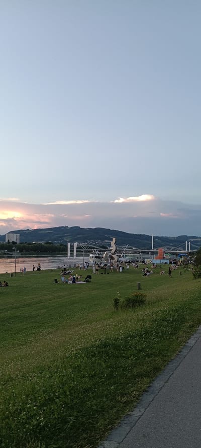 The image depicts a waterfront park scene in Linz, Austria, likely taken during a late afternoon or early evening, given the lighting and the presence of people relaxing. In the foreground, a well-maintained grassy area slopes towards a paved walkway. Numerous individuals are scattered across the lawn, many sitting or lying down, some in small groups, suggesting a casual gathering or a leisurely day out. A stroller is visible among the picnickers.
The middle ground features the Danube River, with a large passenger ship docked or cruising. A prominent, abstract metal sculpture stands near the riverbank, drawing the attention of some of the people present. Several flags or banners are also erected along the riverfront.
In the background, a cityscape with buildings and rolling green hills forms the backdrop. Bridges span the river, and a modern building complex is visible on the left. The sky displays a soft gradient of light blue, with wispy clouds tinged with the warm hues of sunset, indicating the time of day. The overall atmosphere is one of calm and community enjoyment of the outdoor space.