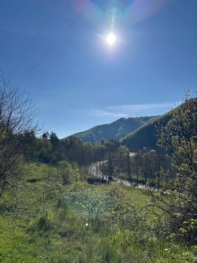 The image shows a landscape in Srednogortsi, Bulgaria. The sky is bright blue with a visible sun flare. Power lines extend from the lower left towards the mid-left. A mountain range covered with trees and vegetation is centrally positioned. A road runs parallel to the base of the mountain, lined with trees and what appears to be occasional buildings or structures. The foreground features grassy terrain with scattered bushes and a bare tree in the lower center of the image.