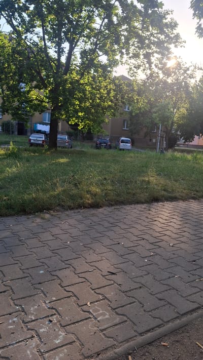 The image depicts a street scene in Štětí, Czechia, on a sunny day. In the foreground, a grey interlocking paver walkway runs diagonally across the frame, with some scattered leaves and cigarette butts on its surface. To the left and behind the walkway is a grassy area with some weeds and dry grass.
Further back, several parked cars are visible on a paved surface adjacent to a building. The cars appear to be a light-colored sedan, a silver hatchback, a dark-colored SUV, and a white minivan. Behind the cars, a multi-story apartment building with brown siding and white-framed windows is situated. Laundry is hanging on a clothesline outside one of the windows.
Large trees with lush green leaves dominate the upper portion of the image, casting shadows and allowing sunlight to filter through their branches. The sun appears to be setting or rising, as evidenced by the warm light and lens flare in the upper right corner. The overall environment suggests a residential area within the town. No people are visible in the scene.