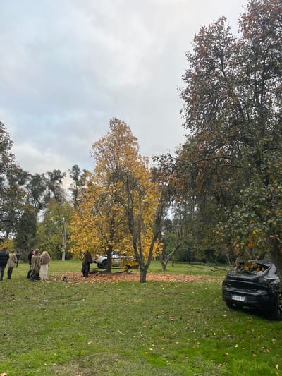 The image shows a park-like setting in Ezeiza, Argentina, under an overcast sky. The foreground contains a group of people standing on a grass-covered area scattered with fallen leaves. They are near a tree with golden leaves. Behind them is a car parked close to another tree. The car's license plate reads "CA 699 YJ".