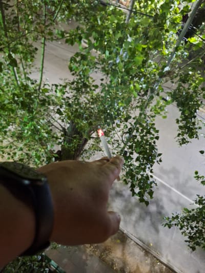 The image shows a close-up perspective from the viewpoint of someone holding a lit cigarette. The cigarette is a prominent object in the foreground, with its tip glowing red and emitting smoke. The hand holding the cigarette is visible, and a dark smartwatch is worn on the wrist.

The background is dominated by lush green foliage, appearing to be tree branches and leaves, viewed from below and looking upwards. This suggests an outdoor setting, possibly a park, garden, or a street lined with trees. Above the foliage, a pale, possibly overcast sky is visible, with some indistinct structures or patterns that could be buildings or a roof. The lighting suggests it is either dusk or night, given the artificial glow of the cigarette and the ambient light. There are no discernible weather conditions mentioned or visible.

The overall impression is a moment of quiet contemplation or relaxation outdoors at night, possibly in an urban or semi-urban environment. The focus on the cigarette and smoke creates a somewhat intimate and personal feel to the scene. No text is visible in the image. The location context of Ötegen batyr, Kazakhstan, provides a specific geographical anchor to the scene, although no distinct visual cues in the image itself confirm this location.