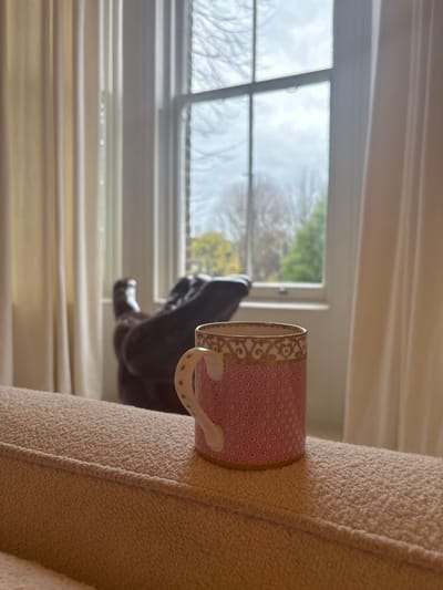 The image is a portrait-oriented photograph that appears to be a landscape scene captured with the camera rotated 90 degrees clockwise. It depicts an indoor setting, likely a living room, with a view through a window to the outside.
In the foreground, on the right side of the frame, a decorative pink and gold mug rests on the armrest of a textured beige armchair or sofa. The mug features an ornate gold pattern around its rim and handle, while its main body is adorned with a delicate, small-scale star-like or floral pattern. The white handle itself also has subtle star details. The fabric of the armchair is a light, fleecy texture.
On the left side of the frame, a white-framed window, divided into multiple panes, offers a glimpse of the outdoors. The sky visible through the window is bright, suggesting daytime, and appears either overcast or partly cloudy. Bare tree branches are prominent, indicating a season like late autumn, winter, or early spring, though some distant green foliage is also present. Below the window, white horizontal blinds or curtains are visible. Partially seen through the window, positioned behind where the mug would be if viewed from inside, is a dark, possibly carved wooden object that resembles part of an animal statue, such as a dog.
The scene conveys a peaceful, domestic atmosphere. No human subjects or discernible activity are present. There is no visible text in the image. The location is within the Royal Borough of Greenwich, United Kingdom.