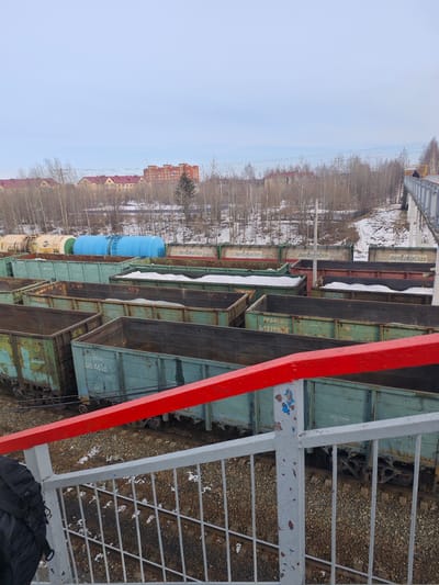 The image presents an elevated view of a railway yard in Pyt'-Yakh, Russia, captured from a pedestrian bridge on what appears to be a cold, overcast day, likely in winter or early spring. The foreground features the bridge's red top railing and a grey lower railing, with a person's black jacket and backpack visible on the left, indicating the photographer's position. Another person is partially visible walking on the bridge to the far right.

Below, multiple parallel railway tracks are visible, covered in gravel and scattered patches of snow. Numerous freight cars, predominantly open-top gondola cars, populate the tracks. These cars are various shades of faded green and teal, with some appearing empty and rusty, while others contain a white, granular material. Identifiable markings on these cars include "PIRIL 61154676", "1201", "РЖД/RZD 64219884", and "PKP/RZD". Further back, several tank cars are visible, including a prominent large blue one and multiple cream-colored ones marked "BerezkaGas" and "Berez Gas Lo".

A dense line of bare deciduous trees separates the railway tracks from the distant background. Beyond the trees, residential buildings with distinct red roofs and a larger multi-story brick building are visible, suggesting an urban or suburban setting. Faint power lines stretch across the pale, light blue sky above the trees. No specific activity is depicted beyond the stationary train cars, conveying a sense of stillness.