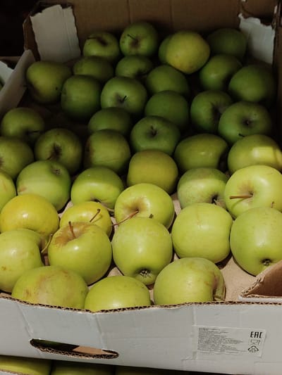 The image displays a close-up, overhead view of a cardboard box filled with numerous green apples. The apples are arranged in multiple layers, filling the box. They vary slightly in size and shade of green, with some showing subtle hints of yellow and occasional russeting. A few apples have visible stems. The cardboard box appears to be a commercial packaging, with a portion of its side visible at the bottom of the frame. On this visible side, there is text in Russian and a certification mark with the letters "EAC" inside a pentagon. The overall impression is that of a fresh produce delivery or display. The lighting suggests an indoor setting, possibly a warehouse or store, with the time of day and weather not discernible. The scene is static, focusing solely on the apples and their packaging. There are no people or animals present. The context provided indicates the location as Dubovoye, Russia.