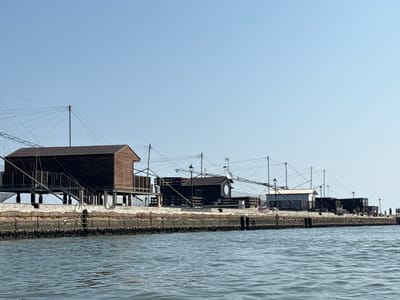 This image shows the fishing structures known as "trabucchi" along the coast of Cesenatico, Italy. The scene is captured from the water, looking towards a row of these traditional wooden fishing machines. The trabucchi are elevated on stilts and feature large, cantilevered wooden arms that support nets. They are spaced along a concrete seawall, behind which are several small, rustic buildings, also constructed of wood. The structures are connected by a network of ropes and poles, characteristic of the trabucchi design. The sky is clear and blue, and the water in the foreground is calm and rippling. In the distance, along the seawall, a few figures of people can be seen walking and standing, suggesting a public area or promenade. The overall impression is of a historic fishing landscape.