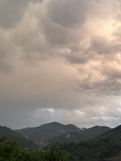 The image presents a landscape under a cloudy sky, likely during or after rainfall. A mountain range covered in dense, dark green forest is visible. Rain or mist hangs in the air around the mountains. A tree branch with leaves is present in the foreground. The location in Zhaltusha, Bulgaria is not directly evident from the image alone, making precise forensic analysis tied to the location impossible.