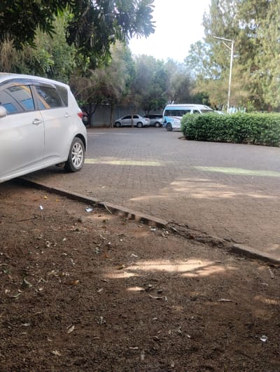 The image shows a parking area with several vehicles, including a silver hatchback prominently in the foreground on the left, a white van with blue graphics, and two smaller silver cars parked further back. A green hedge sits beside the van. The parking lot is paved with bricks. A strip of soil with leaves and litter is in the foreground, separated from the paved area by a curb. Trees partially obscure the background. A light pole is visible in the distance, on the right side.