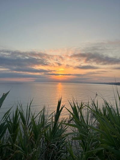 An outdoor, eye-level, vertical shot captures a tranquil sunset over the sea in Castellammare del Golfo, Italy. The sky transitions from a pale blue at the top to hues of orange and pink near the horizon, with scattered clouds. The sun, partially obscured by clouds, casts a shimmering golden path across the calm, grey sea. In the foreground, tall, green grasses grow, obscuring the lower portion of the scene. The coastline is visible in the distance on the right, featuring buildings and a few hills. No people or animals are present in the image.