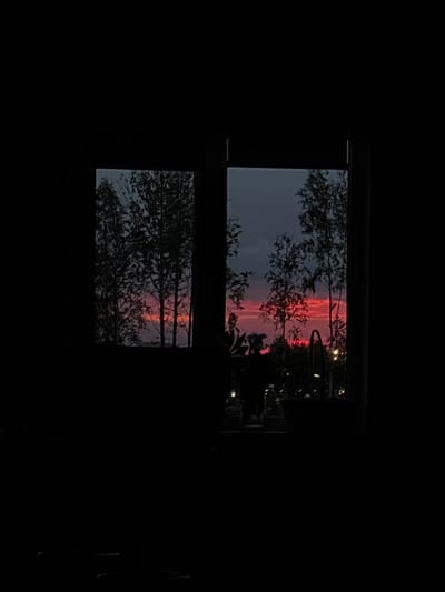 The image shows a view from inside a dark room looking out a window at a vibrant sunset. The sunset features a horizontal band of bright pink and orange clouds against a dark blue sky. Silhouetted trees with thin trunks and sparse branches are visible against the colorful sky, obscuring much of the view. The window itself is divided into two panes, with the sunset visible through both. In the foreground, inside the room, the darkness makes it difficult to discern specific objects, but there appears to be some indoor plant life and possibly furniture, indicated by faint shapes and reflections of lights. The scene is characterized by the contrast between the dark interior and the illuminated, colorful sky outside. The location is specified as Gubakha, Russia.