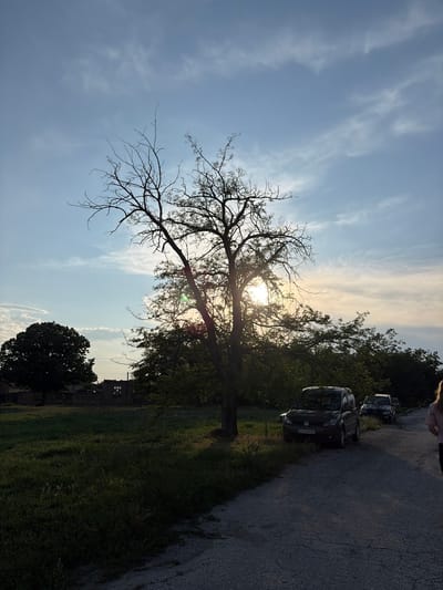 The image depicts a rural scene in Dolni Dabnik, Bulgaria, likely during late afternoon or early evening. The sun is low in the sky, casting a warm glow and creating silhouettes of trees. In the foreground, a gravel road curves to the right. Several cars are parked along the side of the road, including a dark-colored Volkswagen van with license plate EH 8184 BX and a black Mercedes-Benz sedan. A person, partially visible on the right side of the frame, is walking away from the camera.
To the left of the road, a grassy field extends towards a cluster of trees and some dilapidated structures. A large, dark green tree stands prominently in the middle ground. In the background, more trees and a cloudy sky with streaks of light complete the landscape. The overall impression is one of a peaceful, rural setting at dusk.