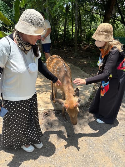 Two women are interacting with a young deer in a wooded outdoor area. The woman on the left, wearing a white shirt, a black and white polka dot skirt, and a woven hat, is extending her hand towards the deer. She has a small white device clipped to her shirt. The woman on the right, wearing a black long-sleeved dress and a similar woven hat, is also reaching out towards the deer. She has a face mask pulled down below her chin and a colorful scarf around her neck. The deer, which has white spots on its back and small antlers, is lowering its head as if to be petted or fed. The ground is covered with gravel and dirt, and the background consists of trees and foliage. The lighting suggests it is daytime. The location is identified as Xiuying District, China.