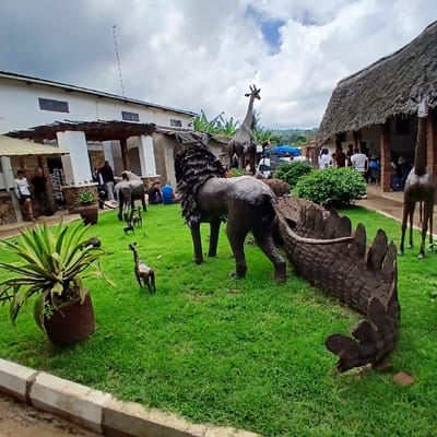 This image depicts an outdoor landscaped area in Mweka, Tanzania, featuring numerous metal animal sculptures and human presence under an overcast sky. The foreground presents a vibrant green grass lawn bordered by a grey and white concrete curb. A large potted plant with broad green leaves is situated in the immediate left foreground.

Centrally on the grass, a prominent dark-colored metal sculpture of a lion stands, facing away from the viewer. Its tail extends towards a large, dark metal crocodile sculpture lying on the grass to its right, which exhibits distinct dorsal scutes. Several smaller dark-colored animal sculptures, including at least two smaller giraffes, are distributed across the lawn.

In the left background, a multi-story white building with a white-pillared veranda is visible. Several individuals are standing and sitting under this veranda. Another large animal sculpture, consistent with an elephant or rhinoceros, is positioned on the grass near this building. A tall, thin antenna extends skyward from behind the structure. To the right, a building with a thatched roof is partially visible, with a group of individuals congregated near its entrance. Two tall metal giraffe sculptures are present, one in the mid-ground near the thatched building amidst green bushes, and another closer to the right foreground. A white van and other vehicles are partially discernible in the distant background between the buildings.
