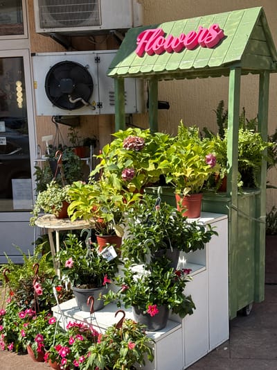 In the city of Lapčići, Montenegro, an outdoor flower stand displays a variety of potted plants. A green wooden structure with a peaked roof, adorned with pink 3D letters spelling "Flowers," serves as the backdrop. Below the sign, multiple tiers of white shelves are filled with potted plants, including hydrangeas with pink blooms, ferns, and smaller flowering plants with pink and white flowers. Some plants are hanging, suspended by hooks. To the left of the flower stand, two outdoor air conditioning units are mounted on a building wall. The ground is paved with interlocking stone tiles. The scene is bathed in bright sunlight, casting shadows. No people are visible in the image.