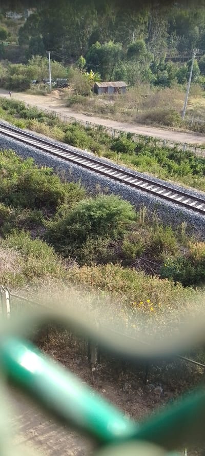 A high-angle view focuses on a railroad track bisecting a landscape of lush greenery. The track runs horizontally across the frame, flanked by dense vegetation. In the distance, a small, rustic shack sits near a dirt road, with power lines nearby. The scene is slightly obscured by a green railing in the foreground, adding depth and perspective to the outdoor composition.