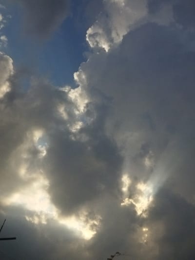 The image depicts a dramatic sky filled with heavy, dark clouds. Sunlight pierces through gaps in the clouds, creating striking beams of light that illuminate portions of the sky. The interplay of light and shadow suggests either a stormy weather system or the aftermath of a storm. The blue sky is visible in small patches between the clouds, indicating that the storm is not entirely encompassing. The overall mood is atmospheric and slightly ominous, but also awe-inspiring due to the powerful natural display. The bottom left corner of the image shows a dark, silhouetted object that appears to be a pole or antenna, hinting at a terrestrial element below the sky. A thin, dark branch with a few leaves is also visible in the bottom right corner. The lighting and cloud formations suggest it could be late afternoon or early evening, as the sun's rays are angled. The location context of Osh City, Kyrgyzstan, does not provide specific visual cues in this image, as the focus is entirely on the sky. There is no visible text in the image.