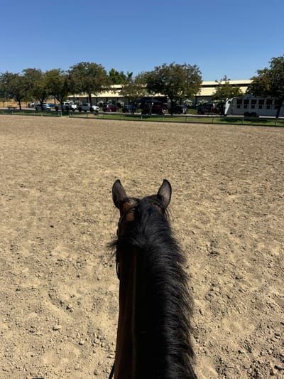 A first-person perspective image depicts an outdoor equestrian arena located in Rancho Murieta, United States. The lower portion of the frame shows the dark brown head and neck of a horse, complete with a black mane and bridle, facing directly into the scene. The foreground and midground consist of a wide, open expanse of dry, light brown dirt, indicative of an equestrian riding surface. In the background, a line of mature green trees separates the arena from a parking area. This parking area contains multiple vehicles, including pick-up trucks and cars, and a white multi-stall horse trailer on the right side. A large, dark canopy structure is also visible over parked vehicles on the right. Beyond the parking area, a long, light-colored building, consistent with a stable or arena facility, is present. The sky above is clear and blue, indicating bright daylight conditions. No individuals are distinctly visible or engaged in specific actions within the frame.