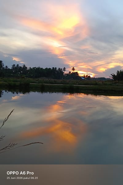 A vertical, wide shot captures a serene twilight scene over a calm body of water reflecting a vibrant, cloud-filled sky. The sky exhibits a gradient of colors, transitioning from a pale blue at the top to soft oranges, pinks, and yellows where the sun has set, illuminating the clouds. The water's surface is smooth, creating a near-perfect mirror image of the sky and the silhouetted treeline of palm trees and other foliage that borders the distant shore. A few indistinct structures, possibly small houses, are visible nestled within the treeline. In the foreground, the edge of the water meets a strip of dark green grass, and a single, tall blade of dry grass extends into the frame from the left. The bottom of the image displays a timestamp and device information: "OPPO A6 Pro 25 Juni 2026 pukul 06.23". The scene is devoid of people and any active human presence, suggesting a peaceful, natural setting. The location is identified as Rheum Barat, Indonesia.