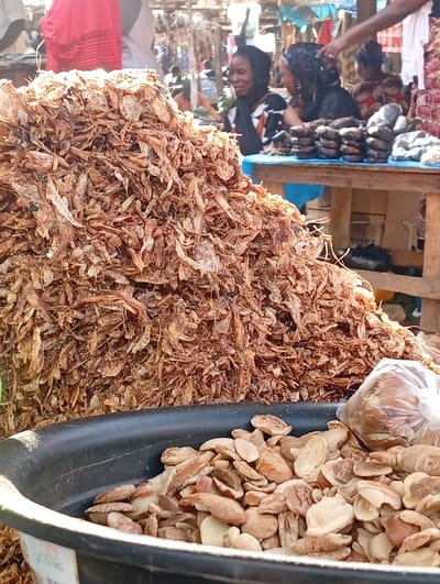 At a market stall in Wamba, Nigeria, a large pile of dried, elongated, brownish-red items, possibly dried fish or shrimp, dominates the foreground. To the right of the pile, a black plastic basin holds a collection of light-brown, oval-shaped objects, some of which are split in half, revealing a lighter interior. Behind the basin, a clear plastic bag contains more of these oval-shaped items. In the background, several individuals are visible. One woman, wearing a headscarf and a patterned top, is looking to her left and smiling. Next to her, another woman in a dark headscarf and traditional attire is partially obscured. Further to the right, partially visible, is a woman in a colorful patterned outfit. A wooden table with stacks of dark, oval-shaped items, possibly dried fish, is positioned behind the women. The environment appears to be an outdoor market with makeshift structures and tents providing shade. The overall scene depicts a lively marketplace with a focus on food vendors and agricultural produce.