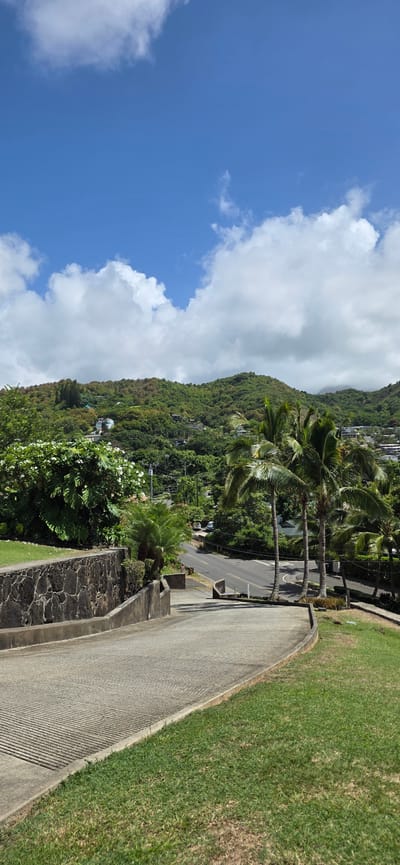 A paved driveway slopes down from the foreground, with a textured concrete surface on the left and a grassy slope on the right. A low stone wall borders the left side of the driveway. Beyond the wall, a lush green landscape unfolds, featuring a large bush with white flowers and palm trees. A two-lane road winds through the scene, with cars visible in the distance. The road is lined with trees and houses nestled into the green, rolling hills that form the backdrop. The sky is a bright blue, dotted with fluffy white clouds. The scene appears to be a residential area in Kaneohe, Hawaii, characterized by its tropical vegetation and hilly terrain.