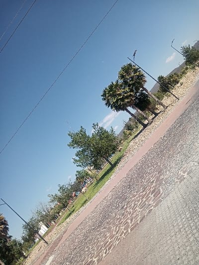 The image depicts an outdoor scene in La Venta, Mexico, under a clear blue sky with minimal white clouds. The ground in the foreground and midground consists of a paved surface, featuring sections of grey grid-patterned pavers, a reddish-brown strip, and grey pavers with an irregular, cracked texture. Adjacent to the paved area, a strip of green grass extends, containing multiple trees, including several tall palm trees with green fronds on the right side and smaller deciduous trees with green foliage further left. Patches of light-colored gravel are visible within and alongside the grass strip. Several dark-colored streetlights or utility poles are present, extending vertically from the ground. Multiple thin, dark power lines traverse diagonally across the upper portion of the sky. The background on the right reveals a hazy outline of distant hills or mountains, while faint structures are discernible among trees on the left. The scene is illuminated by bright daylight; no individuals or vehicles are present.