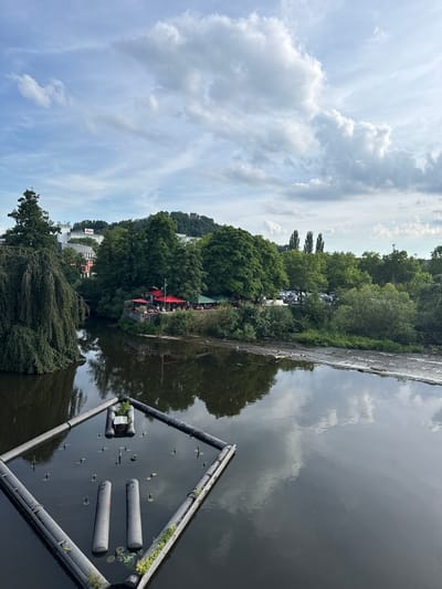 This image depicts a serene river scene in Wetzlar, Germany. The camera is oriented vertically, with the sky occupying the top portion of the frame. Wispy white clouds are scattered across a light blue sky, suggesting fair weather.

The middle section showcases a lush, green treeline bordering the river. Several cars are visible parked amongst the trees, indicating a public area. Further down the bank, a cluster of red umbrellas suggests an outdoor seating area, likely a cafe or restaurant. People are faintly visible at tables under the umbrellas, engaged in conversation or enjoying a meal.

The river itself dominates the lower half of the image, its dark, reflective surface mirroring the sky and surrounding foliage. A modern, diamond-shaped structure with cylindrical buoys floats on the water in the foreground, its dark surface punctuated by reflections. The scene appears peaceful, bathed in the soft light of what seems to be daytime, likely afternoon given the quality of the light and shadows. The overall atmosphere is calm and inviting, capturing a moment of leisure by the water.

There is visible text on a building in the distance to the left, "Leica", indicating a connection to the camera manufacturer.