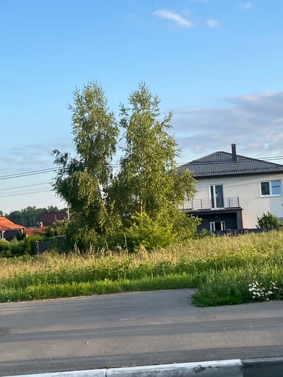 The image depicts a residential area with a modern house and lush vegetation. The house, with a dark tiled roof and white walls, has a prominent chimney and a balcony with a metal railing. It is surrounded by tall green grass and trees, creating a natural and somewhat wild setting. A paved road runs alongside the grassy area, leading away from the viewer. In the background, several other houses with red-tiled roofs are visible, suggesting a small community or village. The sky is clear and blue, with a few wispy clouds, indicating fair weather. The lighting suggests it is either early morning or late afternoon, with the sun casting long shadows. There is no visible text in the image. The overall impression is one of a peaceful, rural environment, possibly in Russia given the location context.