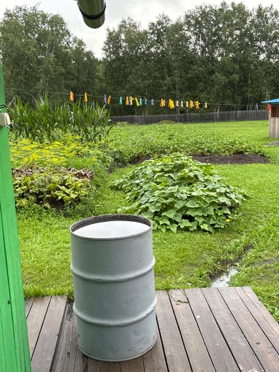 The image depicts a backyard garden scene in Gonja, Russia. A grey metal barrel, partially filled with water, sits on a wooden deck in the foreground. Beyond the deck, a lush garden is visible, featuring rows of corn, leafy green vegetables like beets, and a large, sprawling bush of what appears to be cucumber plants with yellow flowers. A clothesline with colorful clothespins stretches across the middle ground, strung between two unseen points. In the background, a dense line of deciduous trees forms the edge of the property, with a wooden fence running along the garden. The sky is overcast.