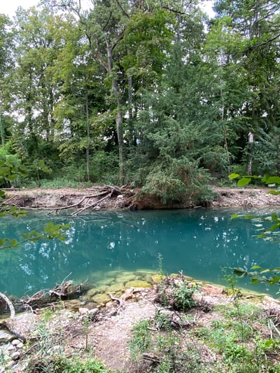 The image shows a serene natural scene likely located in Cortaillod, Switzerland, characterized by a vibrant, turquoise body of water bordered by lush green trees and a rocky shore. The water's surface reflects the surrounding foliage and the overcast sky. Debris, including fallen branches and driftwood, is visible along the water's edge and partially submerged in the clear water. The shoreline transitions from exposed soil and rocks to dense vegetation and trees. The overall atmosphere is one of tranquility and natural beauty.