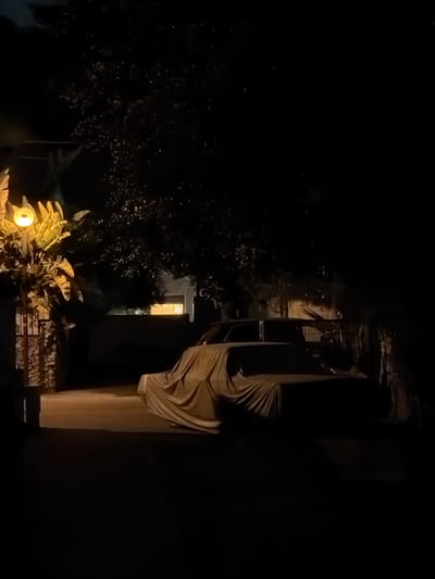 A vertical nighttime shot features a building facade with draped fabric. A single illuminated window is visible further back, partially obscured by foliage. A lit outdoor light fixture sits among plant life in the foreground. The left portion of the scene is shrouded in darkness. The right shows a well-lit wall.