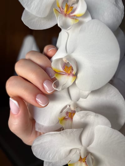 A close-up shot focuses on a person's hand with a French manicure, gently touching white orchids. The hand is positioned in the foreground, with the nails painted in a natural pink base with white tips, showcasing a classic French manicure. The orchids are in full bloom, with delicate white petals and hints of yellow and pink in their centers. The background is dark and out of focus, creating a soft contrast that highlights the subject. The image captures a moment of gentle interaction between the hand and the flowers, evoking a sense of beauty and tranquility. The image is not located in Wörth am Main, Germany.