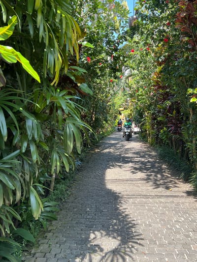 The image shows a narrow brick-paved road in Petulu, Indonesia, framed by dense tropical vegetation on both sides. The road leads into the distance where two motorbikes with riders wearing helmets can be seen. Shadows of the trees and foliage pattern the road surface. The foreground is filled with lush green plants, including palm-like leaves, obscuring the view and emphasizing the dense natural environment. The sky is only visible in a small area, peeking between the trees. The overall impression is a path through a verdant, tropical setting.