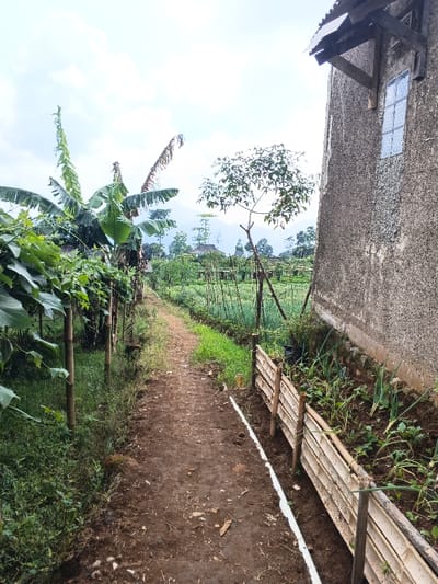 This image depicts an agricultural scene in Maw Hit, Myanmar, centered on a narrow, irregular dirt path extending from the foreground into the midground. To the left of the path, lush green vegetation, including large banana plants and what appears to be a vine supported by bamboo poles, forms a dense border. To the right of the path, a cultivated garden bed contains various leafy green plants, including visible green onions, enclosed by a low fence constructed from horizontal bamboo slats attached to vertical posts. Adjacent to this garden, on the far right, is a section of a rough-textured, grey concrete building, featuring a small, simple window and a rudimentary wooden overhang extending from the upper portion of its wall. In the background, beyond the cultivated plots, additional trees, fields, and distant hills or mountains are visible under a cloudy sky. No individuals, actions, or interactions are present.