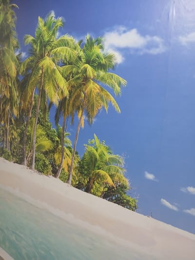 This is a photograph of a tropical beach scene, likely a mural or wallpaper, given its pristine and idealized depiction. The image features several palm trees with vibrant green fronds, their trunks diagonally traversing the frame. The fronds are swaying, suggesting a gentle breeze. Behind the palm trees, lush green foliage is visible. The background is a bright blue sky with scattered white clouds. To the right of the scene is a strip of pale sand beach bordering a calm, turquoise body of water. The water has a slightly rippled texture, indicating shallow movement. The lighting suggests a sunny day, possibly late morning or early afternoon, with no harsh shadows. The overall mood is serene and inviting, evoking a sense of tropical paradise. There is no visible text or people in the image. The provided location context of Monsummano Terme, Italy, is incongruous with the tropical beach scene, suggesting this is an imported or decorative element within that location rather than a photograph taken there.