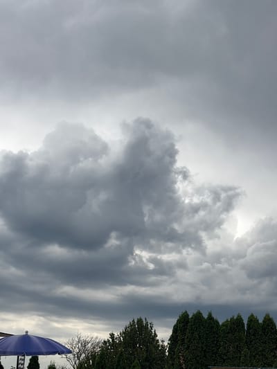 The image depicts a cloudy sky over a residential area in the municipality of Stara Pazova, Serbia. In the foreground, a portion of a blue umbrella is visible on the left. Behind the umbrella, a line of evergreen trees forms the backdrop. The sky is dominated by a dramatic display of dark, heavy clouds, suggesting an impending storm or overcast weather.