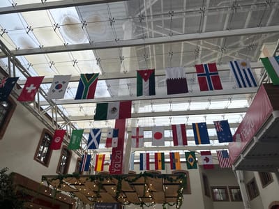 The image shows an indoor scene at the Centro Tolzu in Toluca, Mexico, featuring a multitude of national flags hanging from a glass ceiling. The flags are arranged in multiple rows and appear to be decorated for an event. The architectural style of the building, with exposed metal beams and brickwork, is visible. The flags represent various countries, including Mexico, South Africa, South Korea, Switzerland, Australia, Qatar, Jordan, Norway, Uruguay, USA, Brazil, Canada, England, Japan, Spain, Scotland, Panama, and Tunisia, among others. Some of the flags are partially obscured by others or the building's structure. The lighting suggests an overcast day or an indoor environment with artificial lighting. Decorative foliage and string lights are also present, adding to the festive atmosphere.