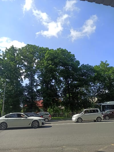 The image shows a street scene in Atabe, Georgia. The foreground is dominated by an asphalt road with white lane markings and yellow lines. Several cars are parked along the side of the road, including a white car in the foreground with a distinctive wheel design, a white hatchback behind it, and a darker colored vehicle further down the street. Trees with lush green foliage line the road, casting shadows on the asphalt. In the background, there are glimpses of buildings with red-tiled roofs and a decorative metal fence.
The sky is a clear blue with scattered white clouds, suggesting it is a sunny day, likely late morning or early afternoon. The sun appears to be high in the sky, creating distinct shadows. The overall scene conveys a sense of everyday life in a suburban or residential area. There is no visible text in the image.