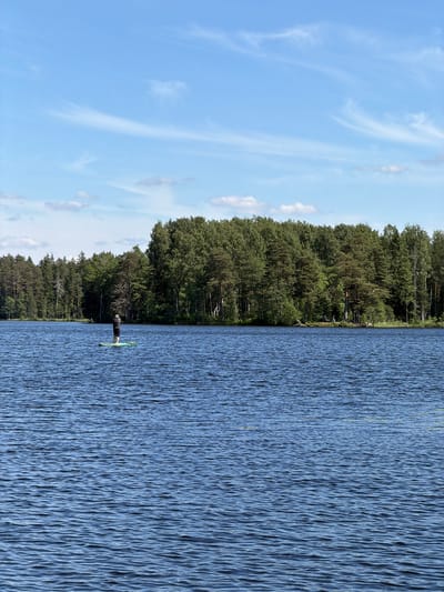 A person is stand-up paddleboarding on a large body of water. The person is wearing a dark shirt and shorts, and is facing away from the camera. They are on a green paddleboard. The water is blue with small waves. In the background, there is a dense forest of green trees. The sky is blue with some wispy white clouds. The location is the Komarovo coast, Russia.