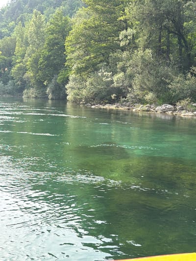 This media file shows a view of a body of water from a boat or similar vessel. The water is a vibrant green, with sunlight glinting off its surface, creating a shimmering effect. The left side of the frame is dominated by lush green trees, densely packed and reaching towards the water's edge. Rocky outcrops are visible along the shoreline, interspersed with the vegetation. The right side of the frame shows more of the water and a sliver of a yellow object, possibly part of the vessel from which the photo is taken. The scene suggests a natural, tranquil environment, likely a river or lake. The lighting indicates it is daytime, with bright sunlight. The foliage suggests it is likely spring or summer. The location context places this scene in Zagorice, Bosnia and Herzegovina, known for its natural beauty. No people, text, or specific events are discernible.
