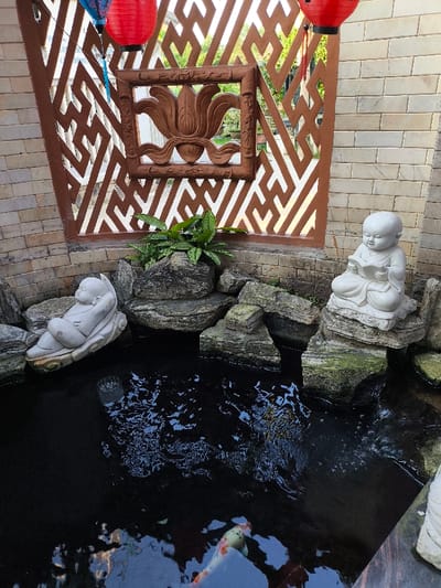 This image depicts a meticulously arranged decorative garden feature in Thành phố Quảng Ngãi, Vietnam. The scene centers on a dark water pond surrounded by rockeries and two light-colored statues.
The background consists of light-colored brick walls on the left and right, framing a central dark brown partition. This partition features a complex geometric cutout pattern, through which blurred green foliage and sunlight are visible. A square-framed, carved wooden or similar material relief of a lotus flower is integrated into the center of this partition. Hanging from above are two red cylindrical lanterns with black caps, positioned towards the top left and right, with a partial view of a blue lantern on the far upper left.
The lower half of the image is dominated by a dark, reflective pond exhibiting ripples on its surface. Irregularly shaped, moss-covered rocks form the perimeter and act as pedestals. On the left side of the pond, a white statue of a reclining, bald, childlike figure, suggestive of a young monk, rests on a stylized leaf-like base partially submerged in the water. On the right side, a second white statue, depicting a seated, bald, childlike figure, also resembling a young monk, holds an open book. This statue is positioned on a rock at the water's edge. Small green leafy plants are visible growing amidst the rocks below the central partition. A single white and orange koi fish is partially visible swimming in the lower left quadrant of the pond. No human figures are present.