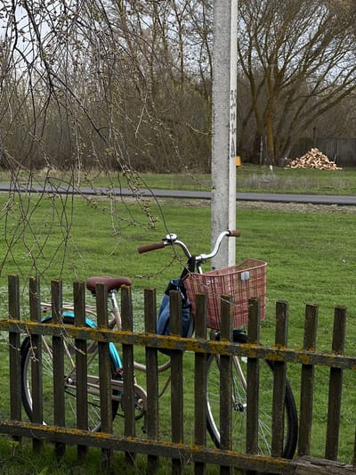 A bicycle is parked against a wooden fence in a rural setting. The bike has a front basket and a brown seat. The fence is covered in patches of yellow lichen. A utility pole stands nearby, and a narrow paved path runs through a green field. A pile of logs is visible in the background, near a wooded area. The location is Semeno-Aleksandrovka, Russia.