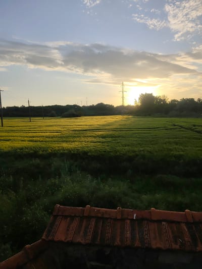 The image depicts a rural landscape in Vynohradivka, Ukraine, at sunset. A large green field dominates the scene, likely agricultural land. Power lines and poles are visible extending across the field towards a line of trees in the background. The sun is setting behind the trees, creating a bright glow. The sky contains a mix of blue and clouds. In the foreground, a section of a red-tiled roof is visible. No people or animals are visible in the image. The scene is static.