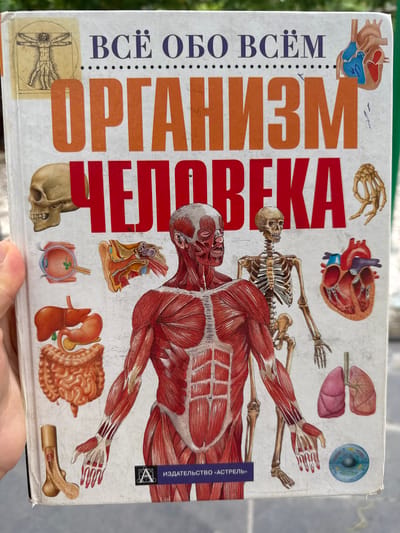 The image shows the cover of a book titled "ОРГАНИЗМ ЧЕЛОВЕКА" (Human Body), with the subtitle "ВСЁ ОБ ОРГАНИЗМЕ" (Everything about the body). The cover features a detailed anatomical illustration of the human muscular system, skeleton, and various organs such as the heart, lungs, brain, eyes, and intestines. It also includes a depiction of Leonardo da Vinci's Vitruvian Man. The book cover appears to be worn with some visible scuffs and slight damage to the edges. A blue band with the text "ИЗДАТЕЛЬСТВО «АСТРЕЛЬ»" (ASTREL Publishing House) is present on the right side of the cover. The image is taken from a slightly overhead perspective, with a person's hand visible at the bottom holding the book. The background is blurred but suggests an outdoor setting with some greenery.