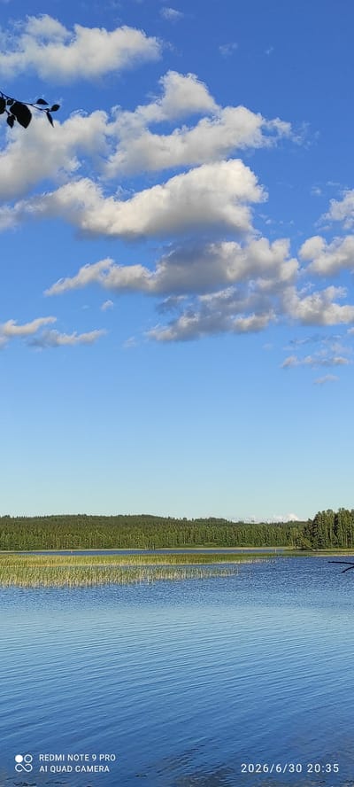 The media file shows a landscape scene of a lake on a clear day. The image is oriented vertically, with the sky occupying the left half and the lake and treeline on the right. White, fluffy clouds are scattered across the bright blue sky. The lake is calm, with gentle ripples on its surface reflecting the blue sky. A dense treeline of green coniferous trees forms the horizon, with some reeds or tall grasses visible along the water's edge.
The time of day appears to be late afternoon or early evening, as suggested by the timestamp on the image. The weather is fair and sunny. There are no people or discernible objects in the immediate foreground, apart from a silhouetted branch with leaves on the far left.
Visible text in the lower right corner reads: "2026/6/30 20:35" and "REDMI NOTE 9 PRO AI QUAD CAMERA". The location context is Joutsa, Finland. The overall emotion conveyed is one of tranquility and natural beauty.