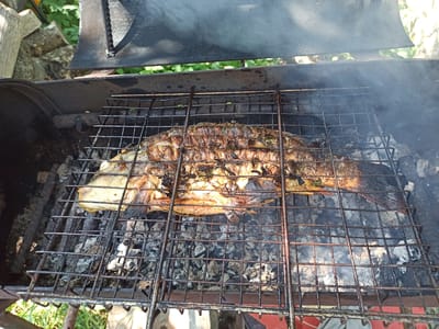 A whole fish, seasoned with herbs, is grilling over hot coals on a metal grate. The fish is positioned lengthwise on the grate, with its head on the left and tail on the right. It appears to be cooked to a golden brown and is releasing smoke as it grills. The coals below are glowing and covered with ash. The grill is set within a larger metal barbecue pit. In the background, out-of-focus greenery and stone structures suggest an outdoor setting, possibly a garden or yard. The image captures a close-up view of the cooking process, highlighting the texture and color of the fish. The presence of smoke indicates the cooking is actively in progress. This scene is taking place outdoors in Kniazhdvir, Ukraine.