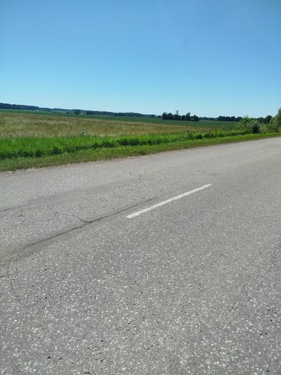 The image depicts a rural roadside scene under a clear, bright blue sky. The foreground is dominated by a cracked asphalt road with a white line painted along the lane. The road surface is textured with small stones. To the left of the road is a vibrant green grassy verge, followed by a field of golden, dry grass or wheat, indicating a harvest season. Further in the distance, more fields of varying shades of green stretch towards a line of trees and foliage that forms the horizon. A few scattered trees and bushes are visible within the fields and along the tree line. The overall impression is one of a warm, sunny day in the countryside. There is no text visible in the image. The setting suggests a relatively unpopulated area, possibly in Latvia given the location context. The absence of people or any specific structures beyond the natural landscape and road implies a quiet, tranquil moment. The bright sunlight suggests it is daytime, likely mid-morning or afternoon.